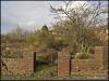 Stubshaw Cross Garden